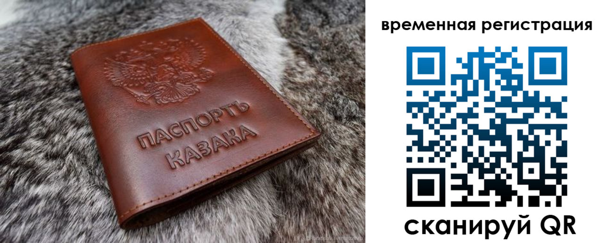 прописка 2025 в Ипатово